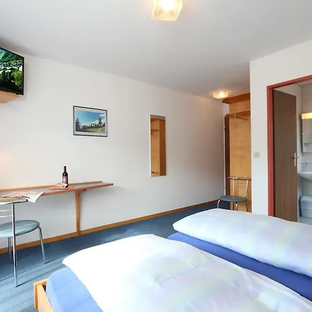 Garni Domino بيت ضيافة Saas Fee
