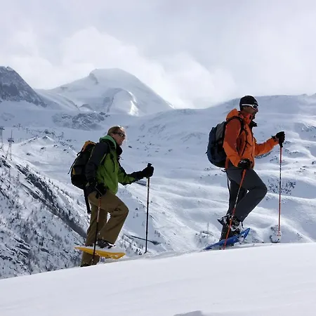 Πανσιόν Garni Domino