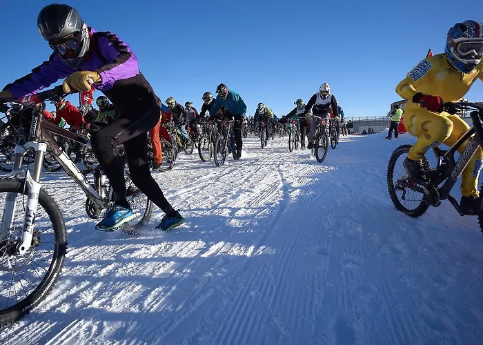 Garni Domino Vendégház
