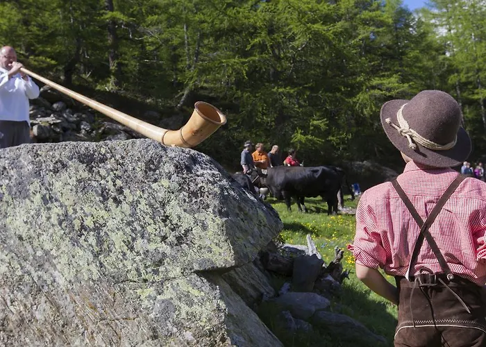 Garni Domino Vendégház 3*