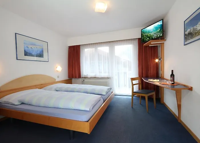 Garni Domino סאס פה