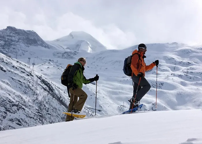 בית הארחה Garni Domino